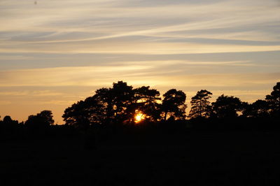 Silhouette trees on landscape against sky at sunset