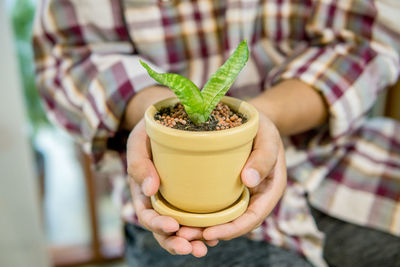 Midsection of woman holding potted plant