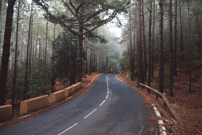 Empty road along trees in forest