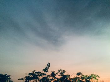 Low angle view of silhouette trees against sky at sunset