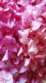 Macro shot of pink flowers