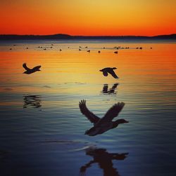 Scenic view of sunset over sea