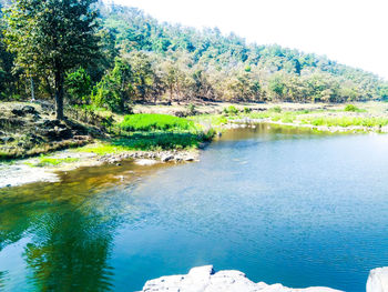 Scenic view of lake by trees