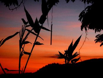 Low angle view of silhouette trees against orange sky