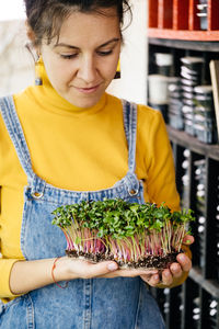 Woman holding box with microgreen, small private business indoor vertical farm. vitamin fresh food