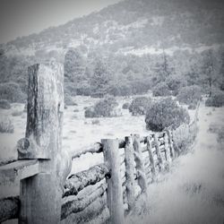 Panoramic view of wooden post during winter