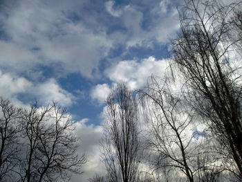 Low angle view of bare trees against sky