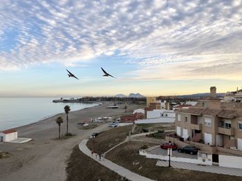 Seagull flying over beach against sky during sunset