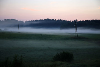 Scenic view of grassy field in fog