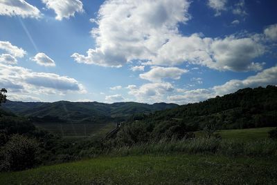 Scenic view of field against sky