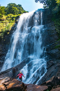 Scenic view of waterfall in forest