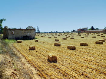 Hay bales on field against clear blue sky