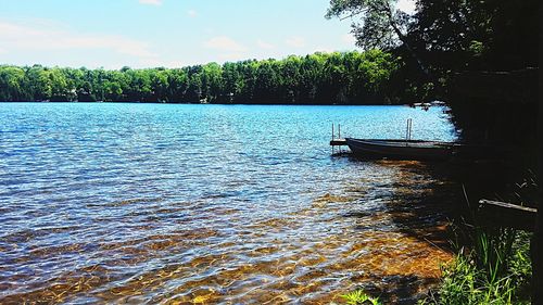 Scenic view of lake against trees