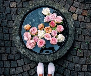 Low section of woman standing by flowers in pond