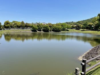 reflection