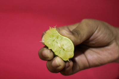 Close-up of hand holding tomato over red background