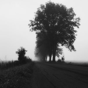 Road passing through field