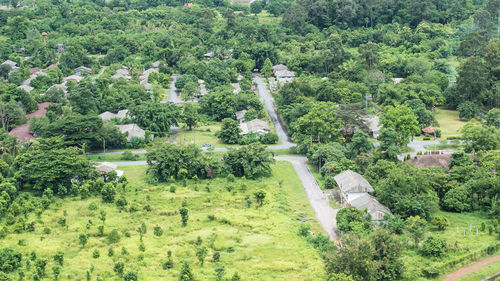 High angle view of trees on landscape