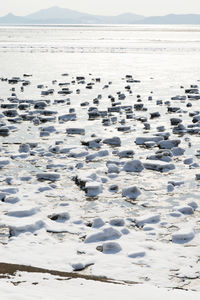 Close-up of snow on beach against sky