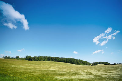 Scenic view of landscape against blue sky