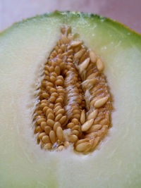 cantaloupe