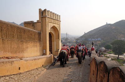 Decorated elephants carrying tourists at amber fort in jaipur, rajasthan, india