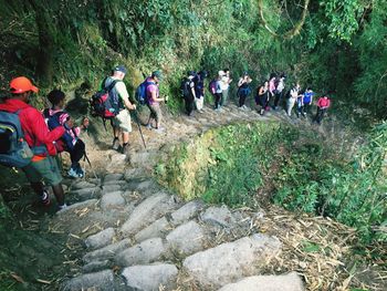 People on rocks in forest