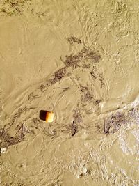 High angle view of beach