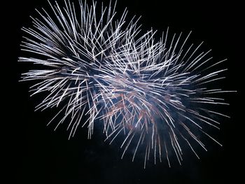 Low angle view of firework display against sky at night