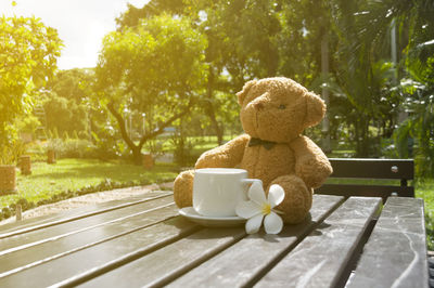 Teddy bear with cup and flower on table in yard