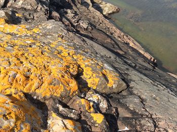 High angle view of yellow rock on mountain