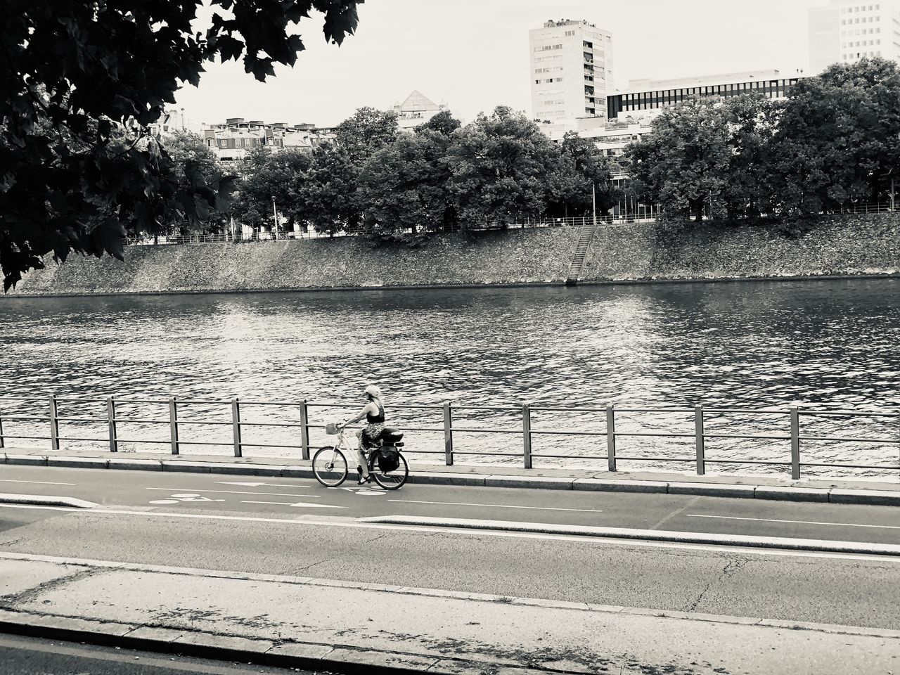 MAN RIDING BICYCLE ON STREET