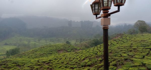 Scenic view of farm against sky