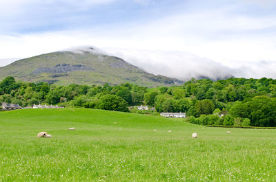 Scenic view of green landscape and mountains against sky