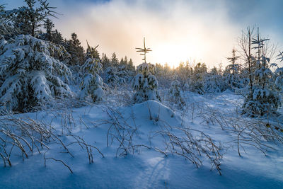 Snow covered field against sky