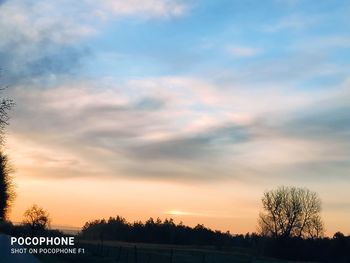 Low angle view of silhouette trees against sky during sunset