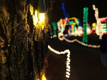 Close-up of illuminated tree trunk at night