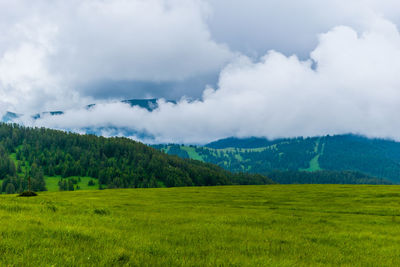 Scenic view of field against sky