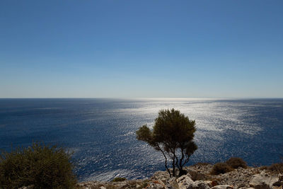 Scenic view of calm sea against clear sky