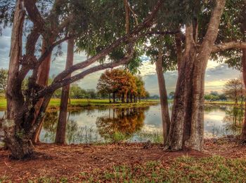 Scenic view of lake against trees