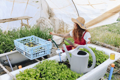 Farmer wearing hat examining and taking inventory of vegetables at greenhouse