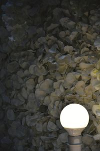 High angle view of illuminated light bulb
