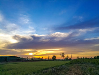 Evening outside the village beautiful sunset 