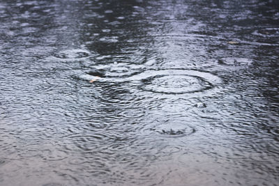 Low section of person swimming in water