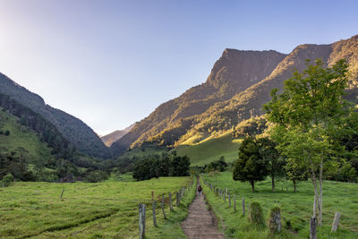 Scenic view of pathway amidst grassy field leading towards mountains against clear sky