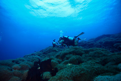 Scuba diving in sea