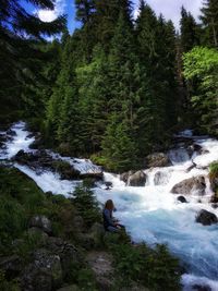 Scenic view of waterfall in forest