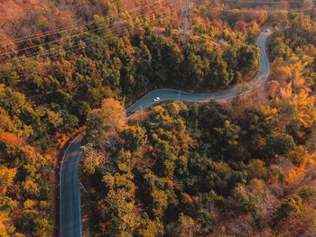 High angle view of trees in forest during autumn