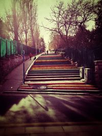 Empty footpath by trees in park