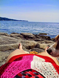 Dog relaxing in the sea